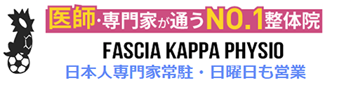 Fascia Kappa Physio